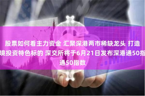 股票如何看主力资金 汇聚深港两市稀缺龙头 打造跨境投资特色标的 深交所将于6月21日发布深港通50指数