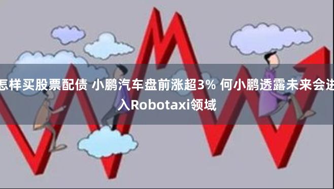 怎样买股票配债 小鹏汽车盘前涨超3% 何小鹏透露未来会进入Robotaxi领域